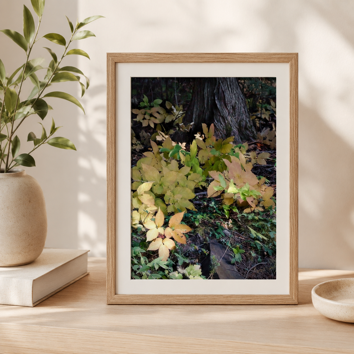 Framed nature print of leaves on a wooden surface with a plant and books in the background